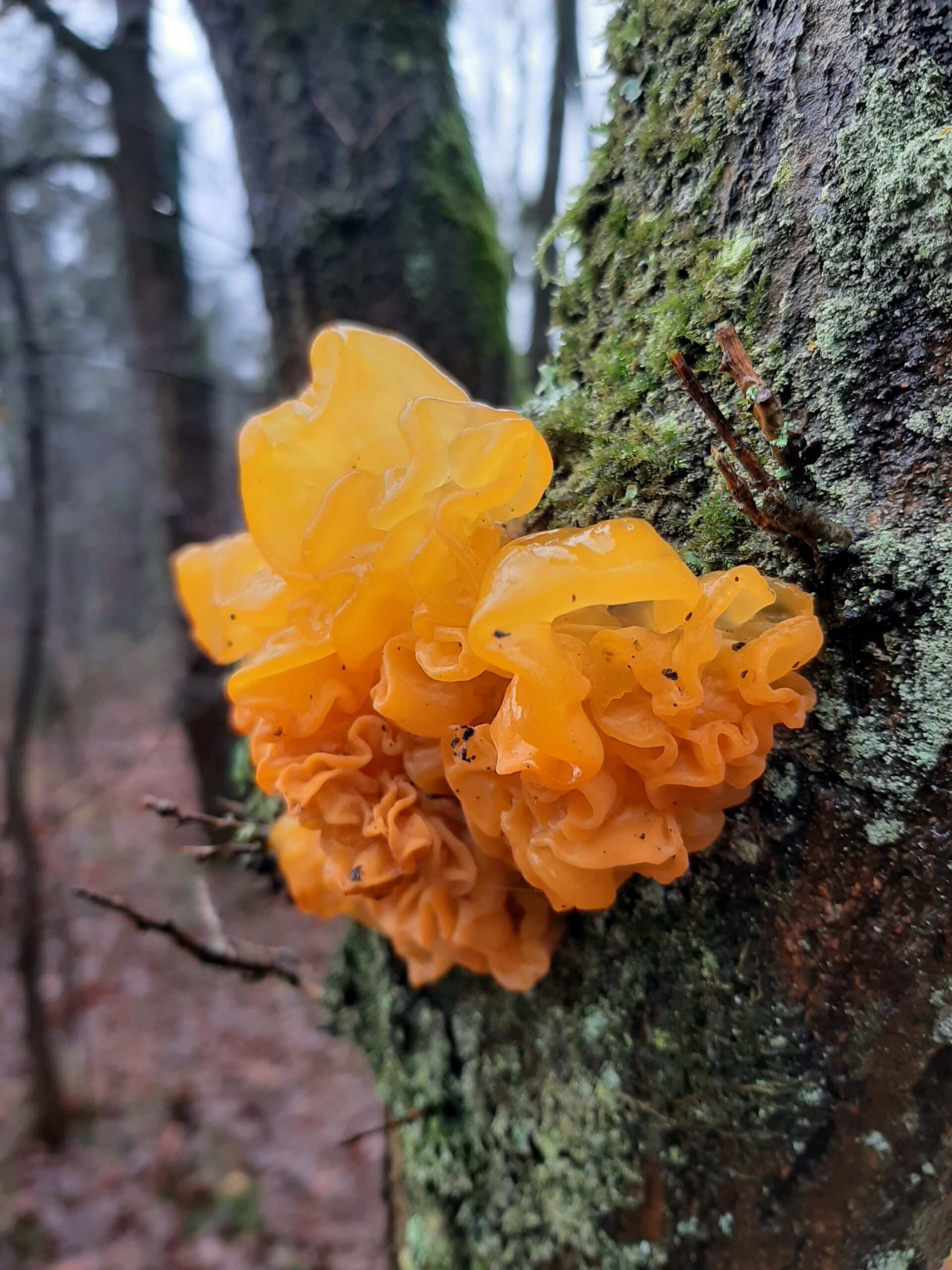 20250125 103959 Scaled