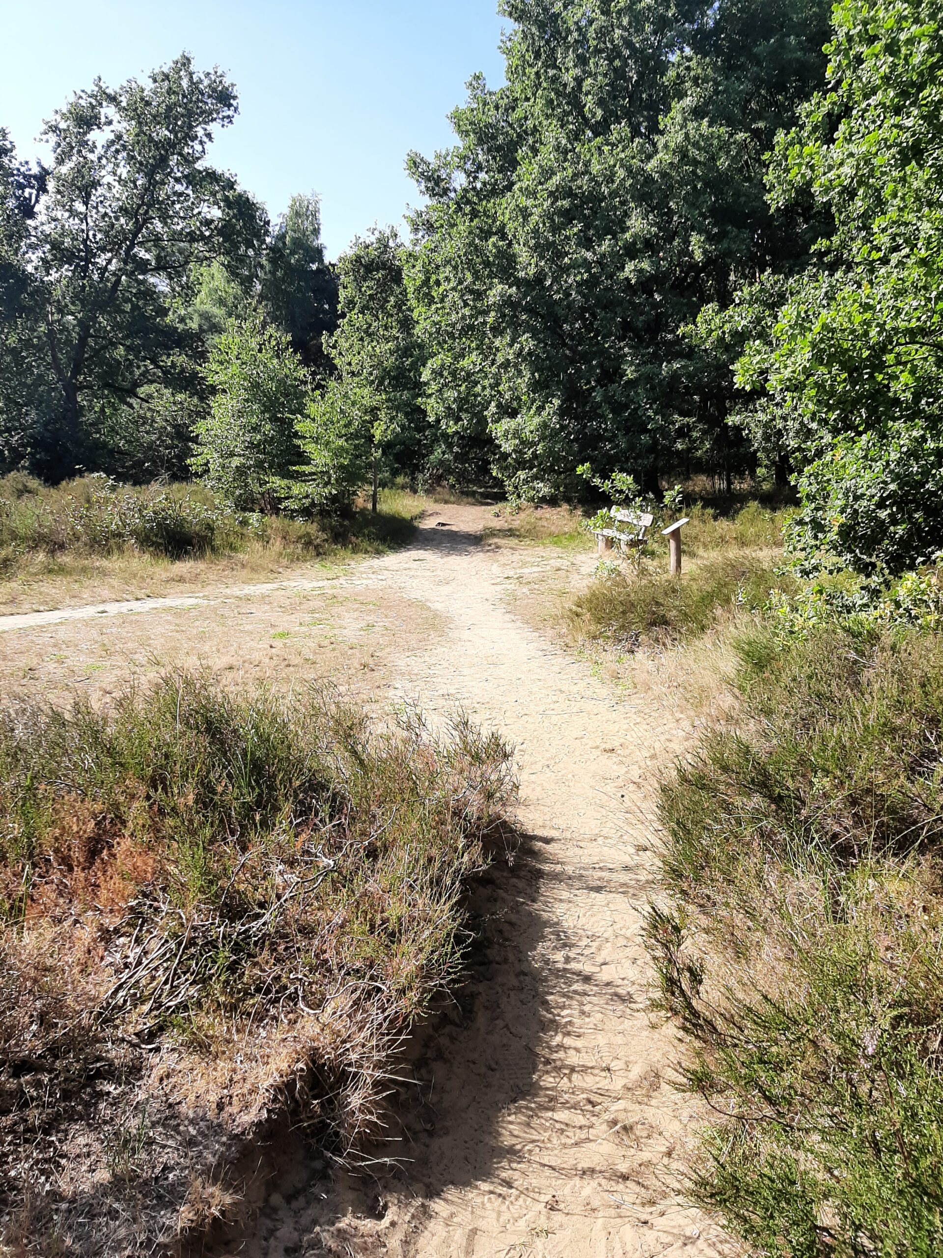 20250711 100229 Scaled