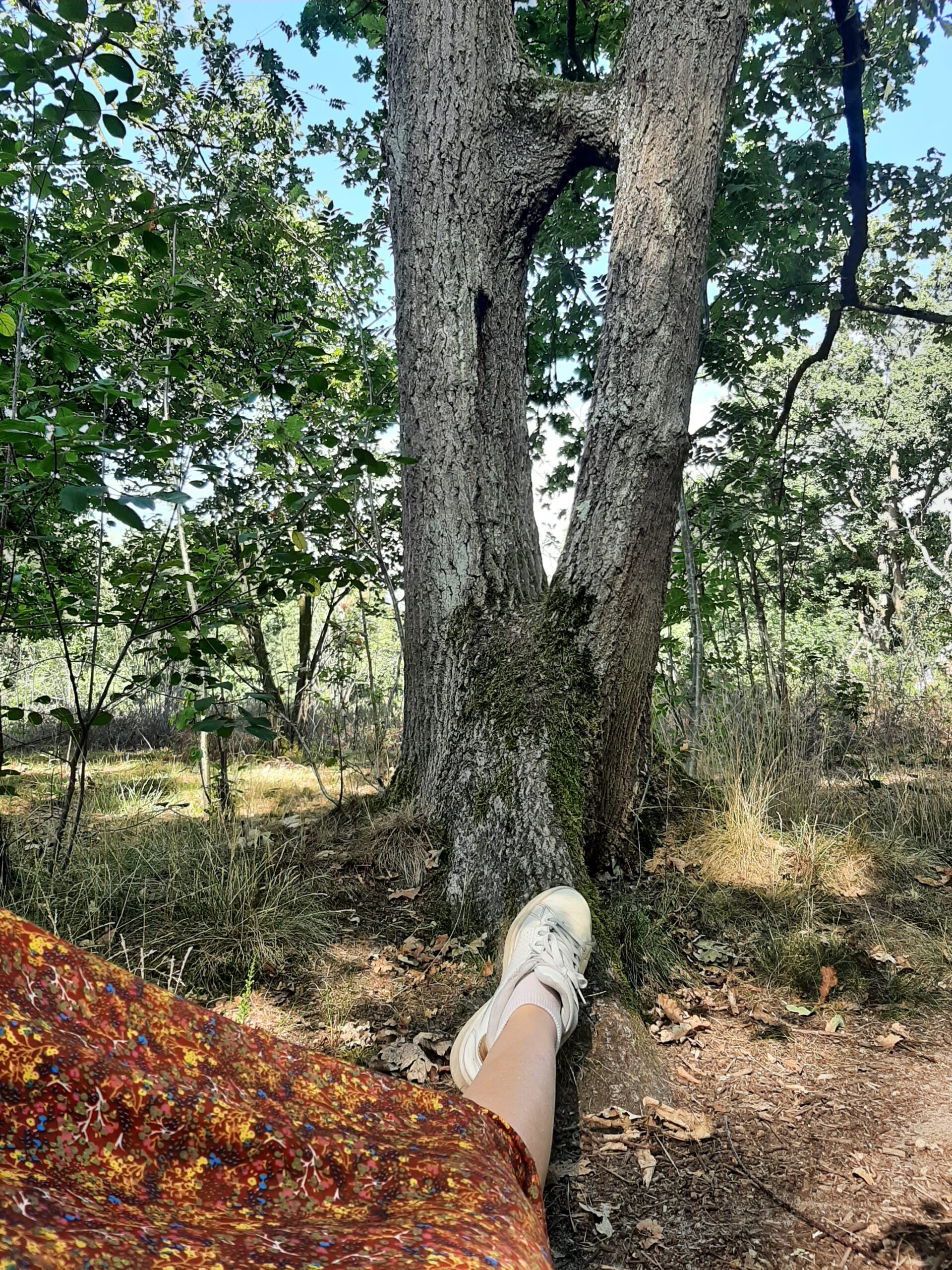 20250711 100804 Scaled